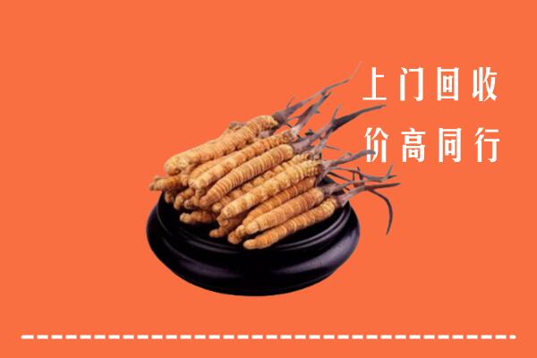 高价求购：银州区回收散虫草