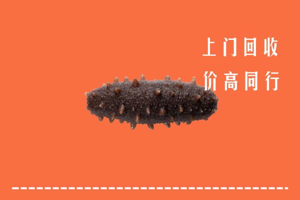 高价求购：银州区回收海参